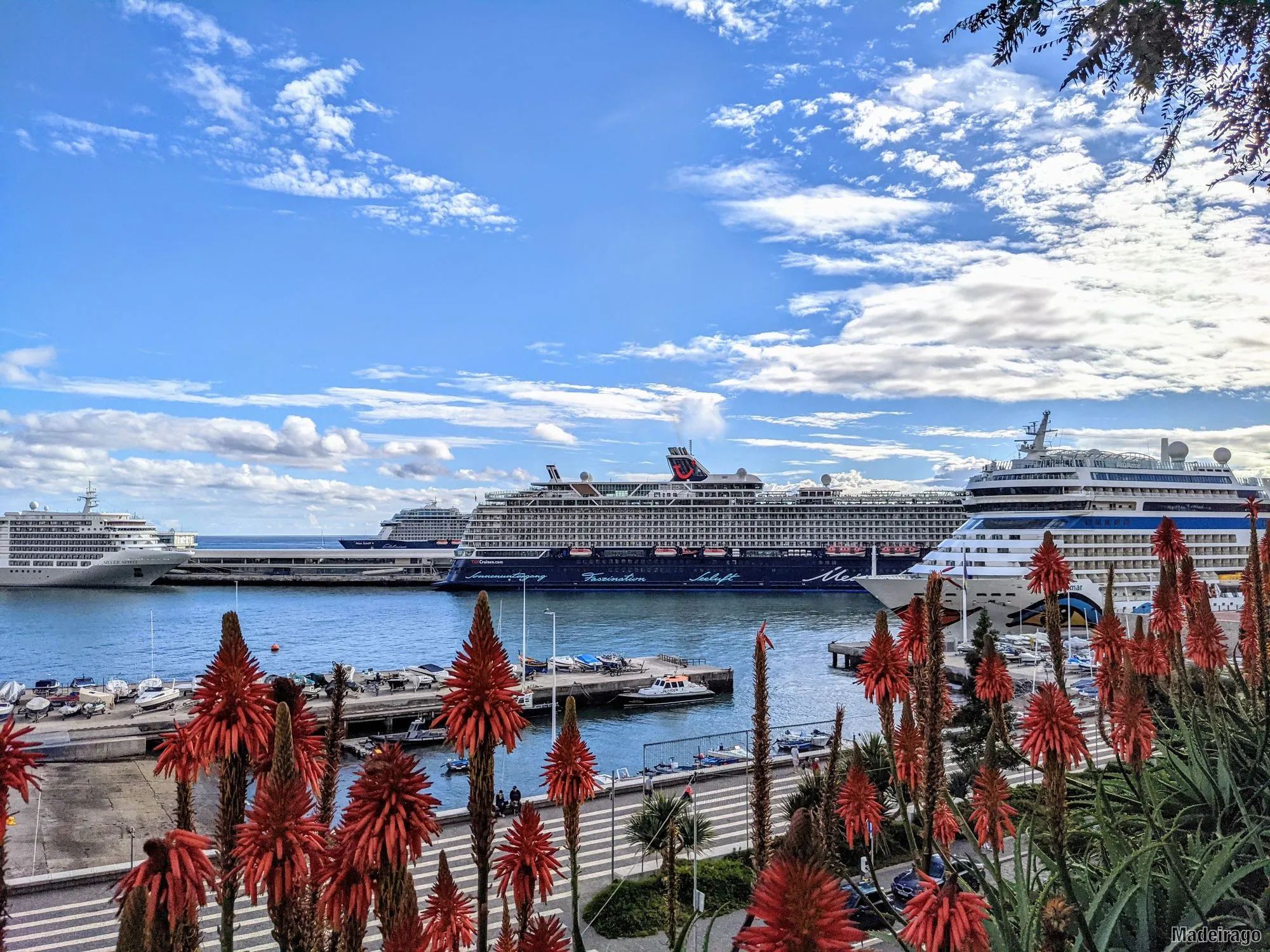 Funchal - nábřeží a přístav