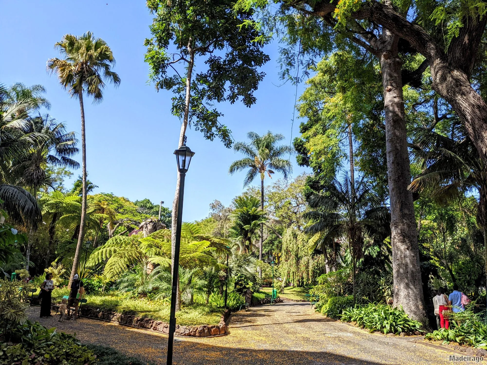 Funchal - centrum