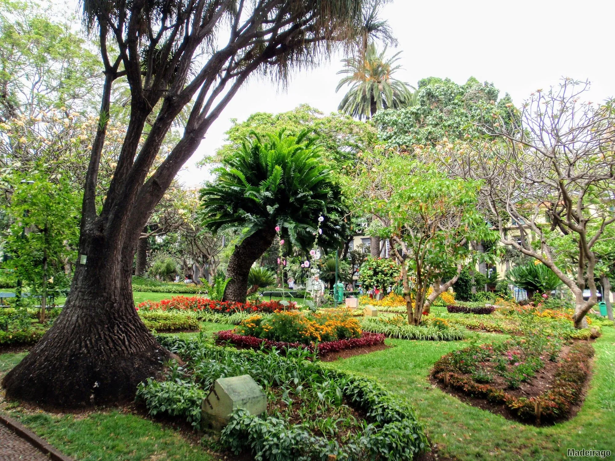 Funchal - centrum