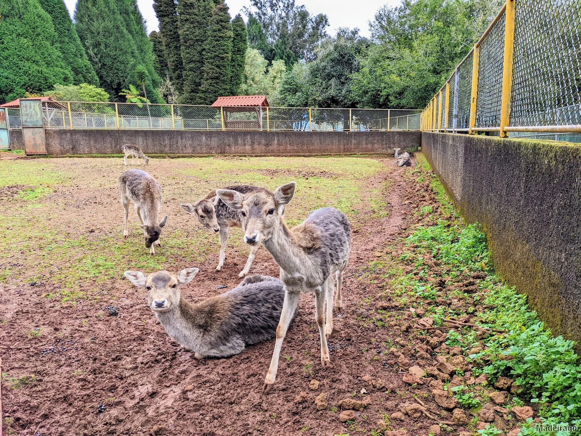 Parky a zahrady na Madeiře