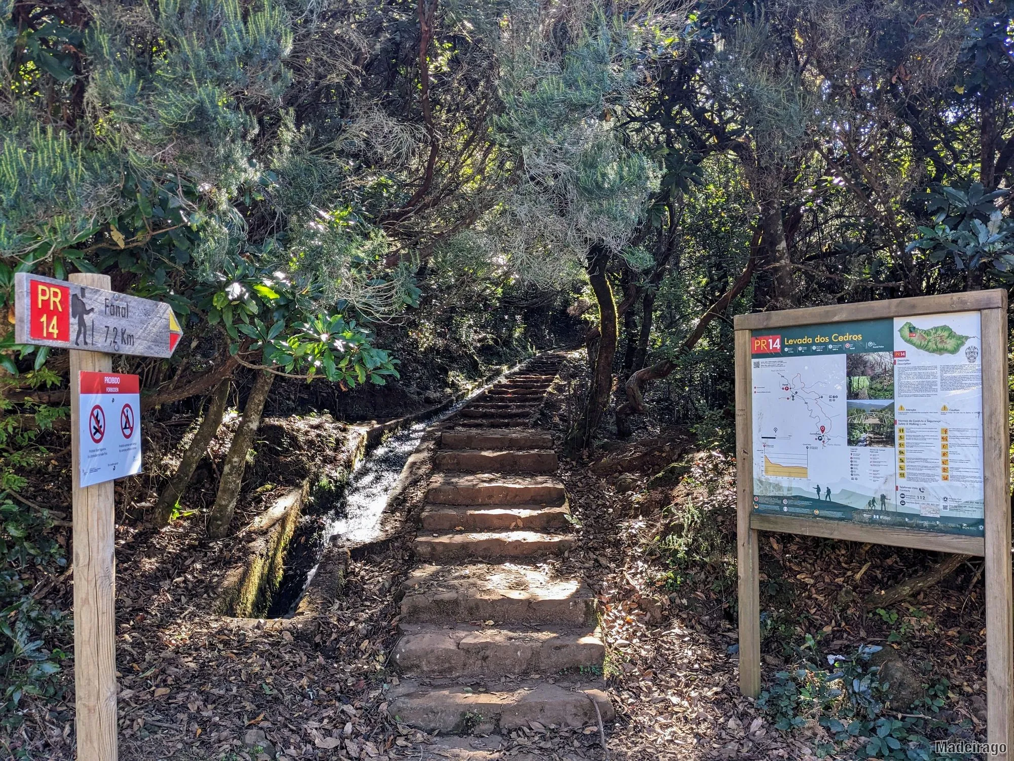 Levada dos Cedros