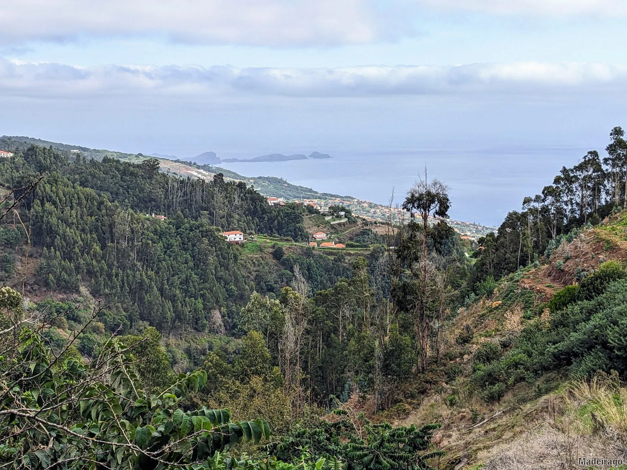 Levada dos Tornos - směr Santo da Serra