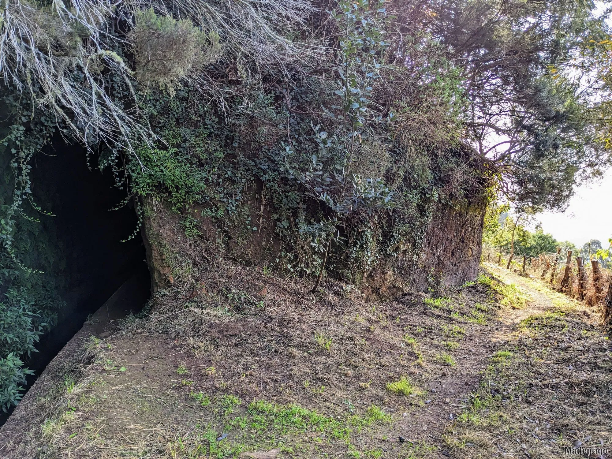 Levada dos Tornos - směr Santo da Serra