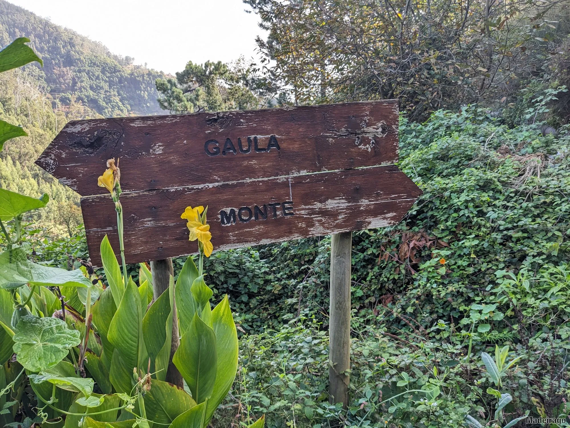 Levada dos Tornos - směr Santo da Serra