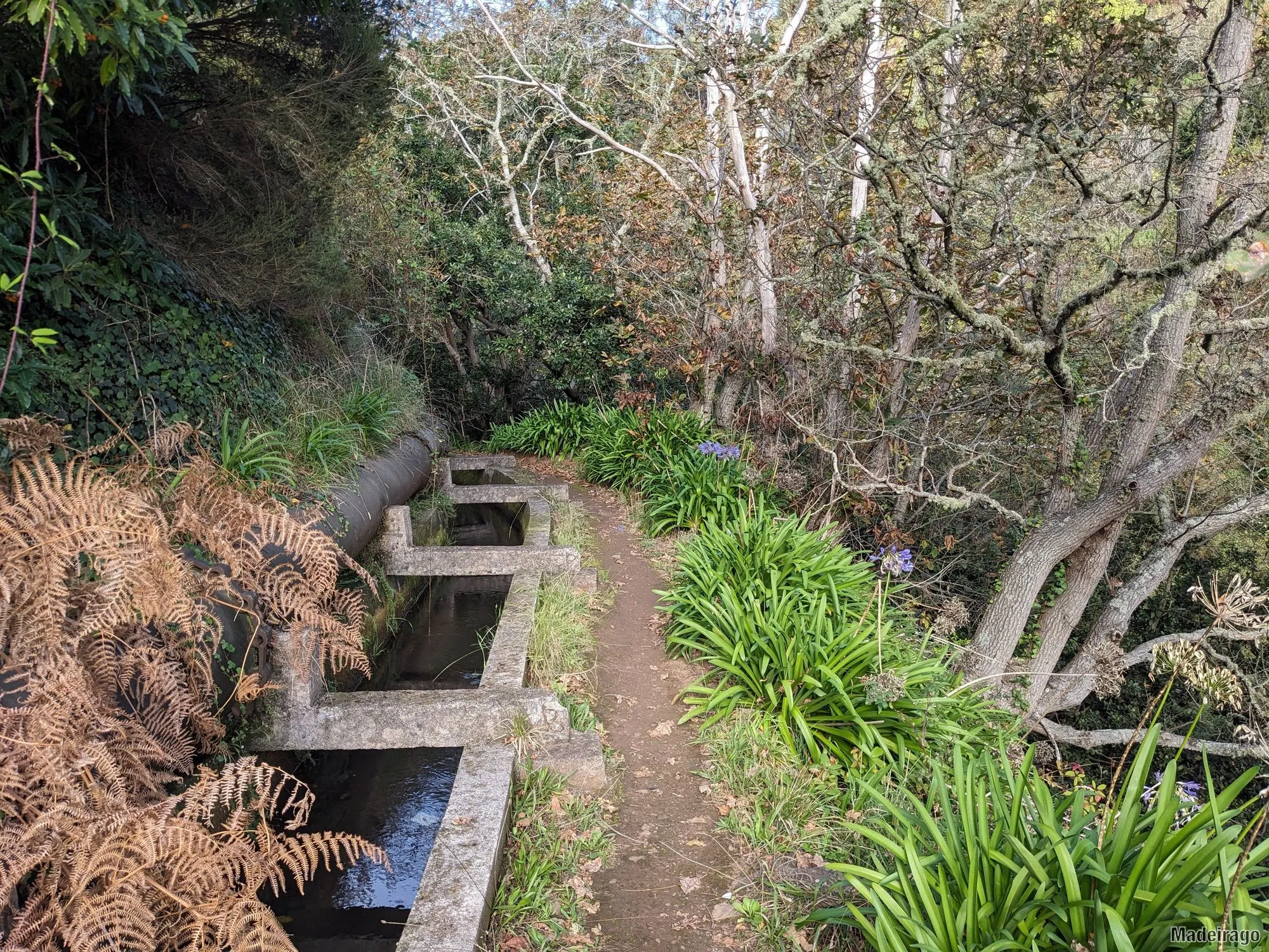 Levada dos Tornos - směr Santo da Serra