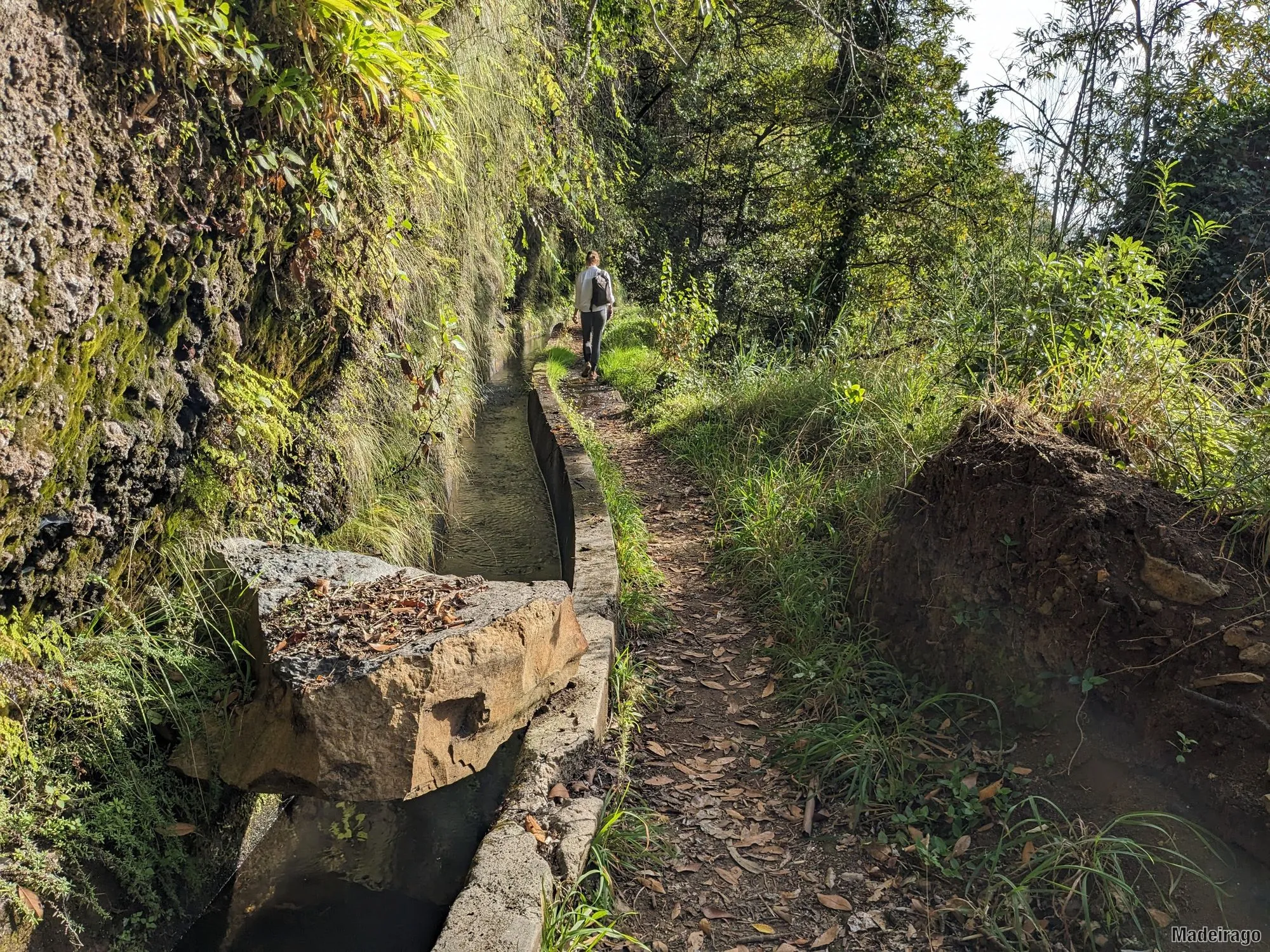 Levada dos Tornos - směr Santo da Serra