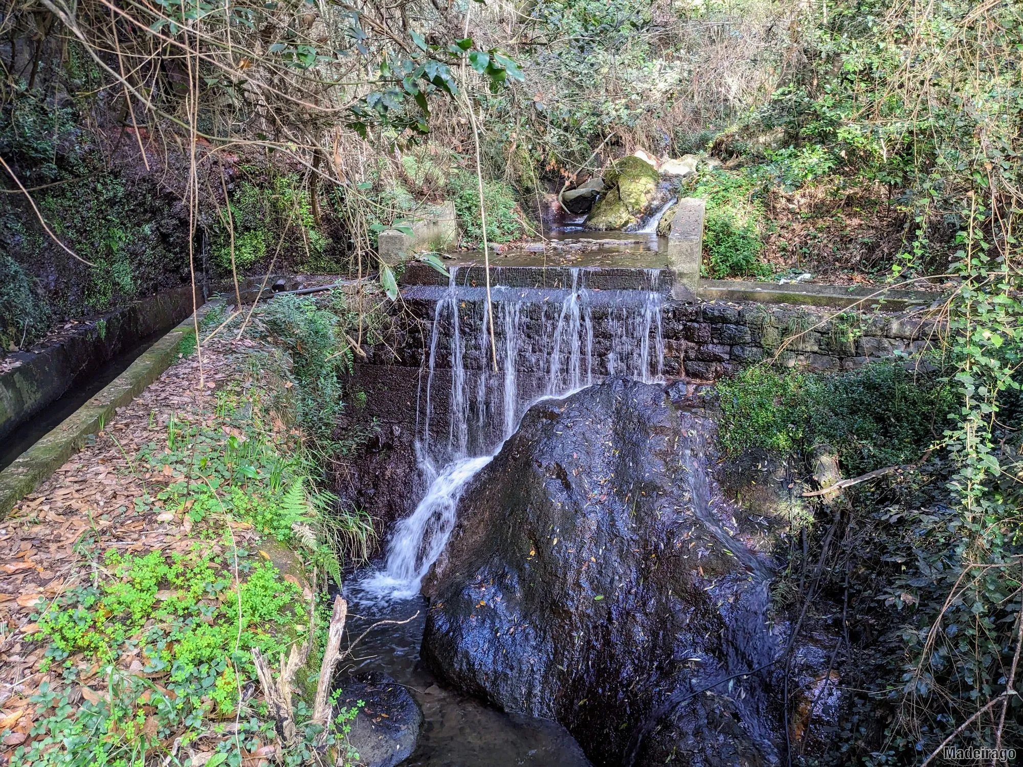 Levada dos Tornos - směr Santo da Serra