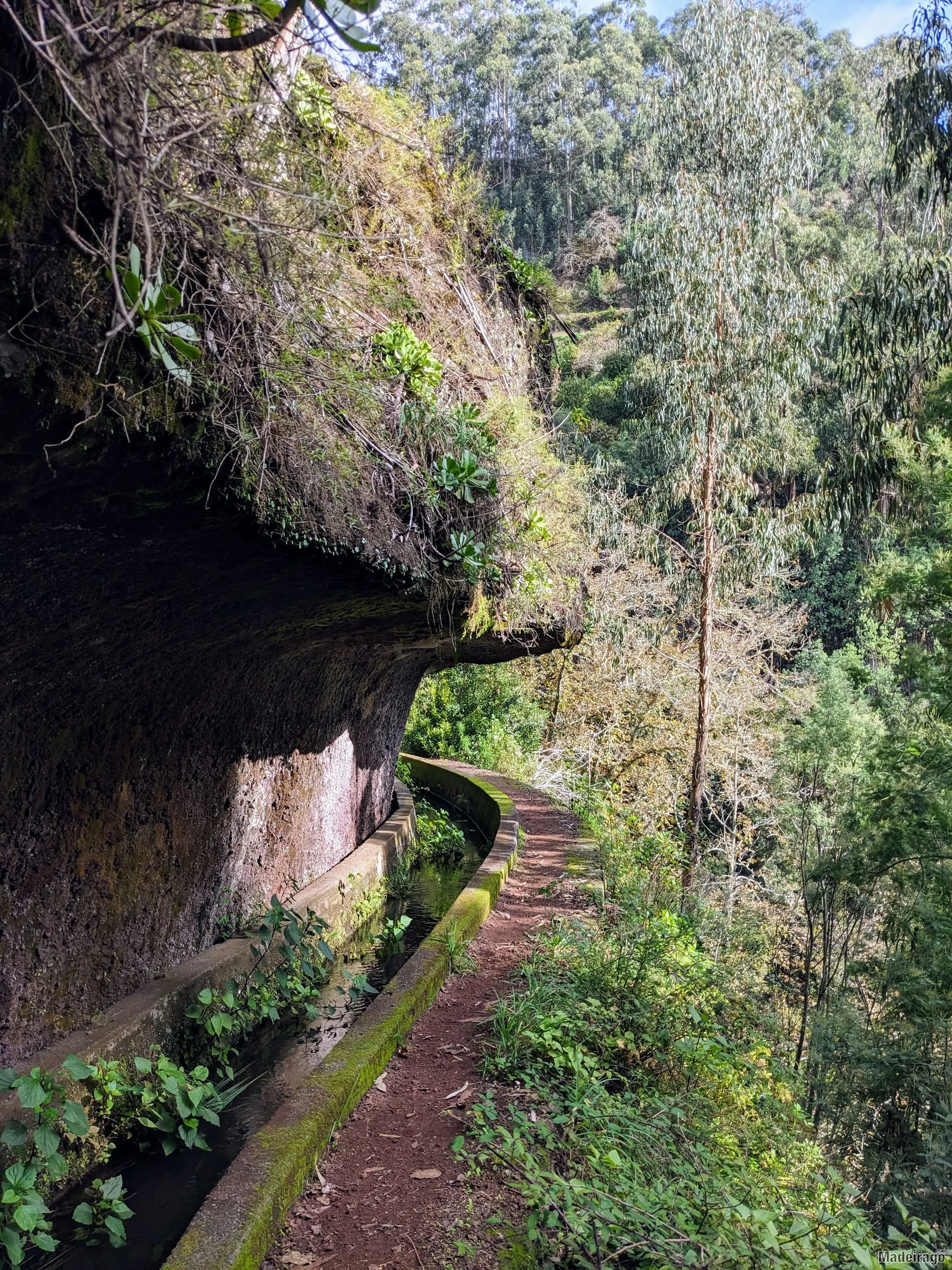 Levada dos Tornos - směr Santo da Serra