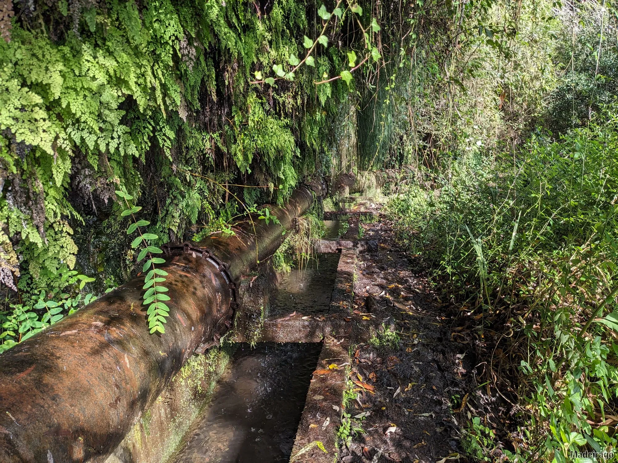 Levada dos Tornos - směr Santo da Serra