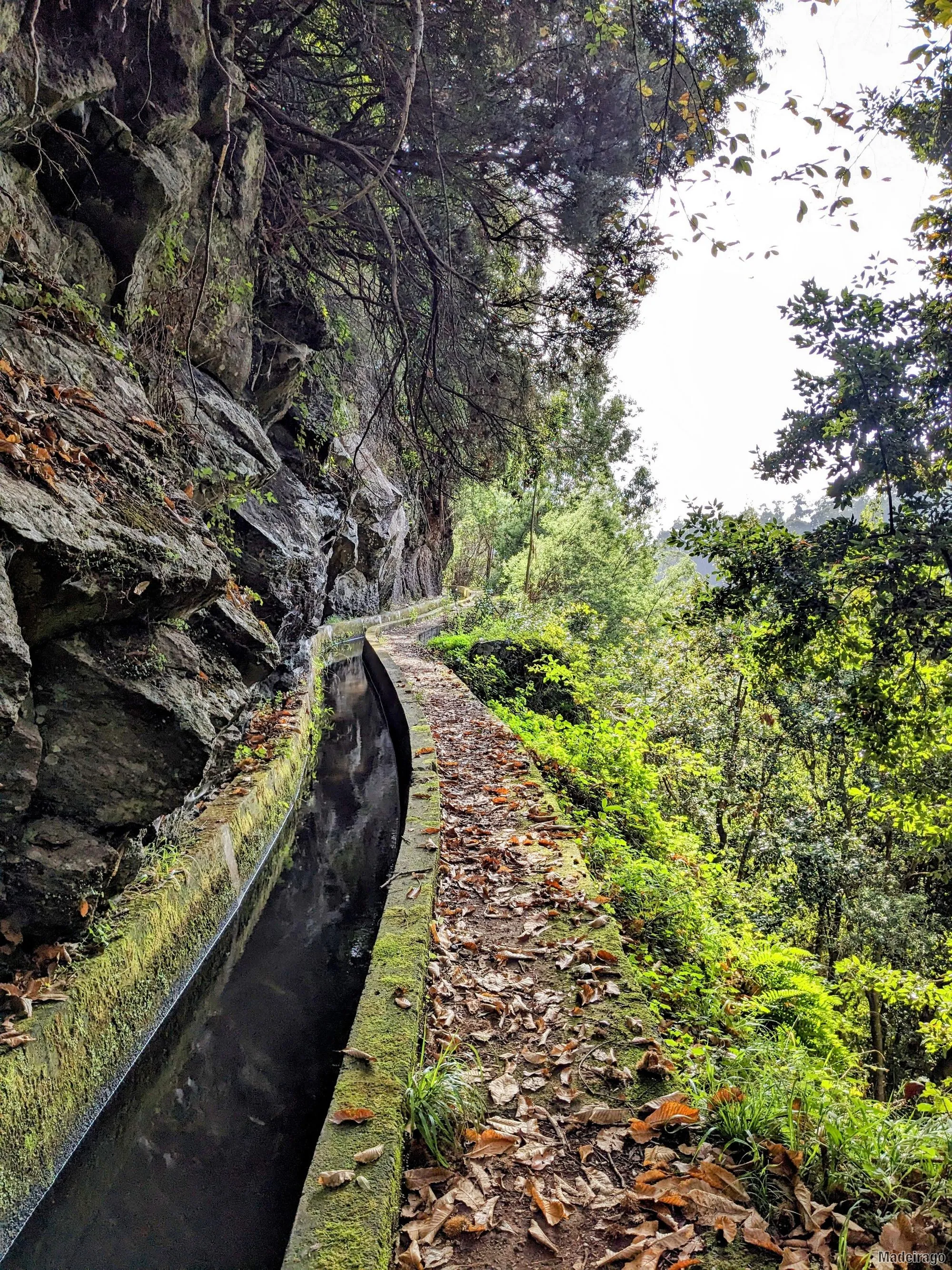 Levada dos Tornos - směr Santo da Serra