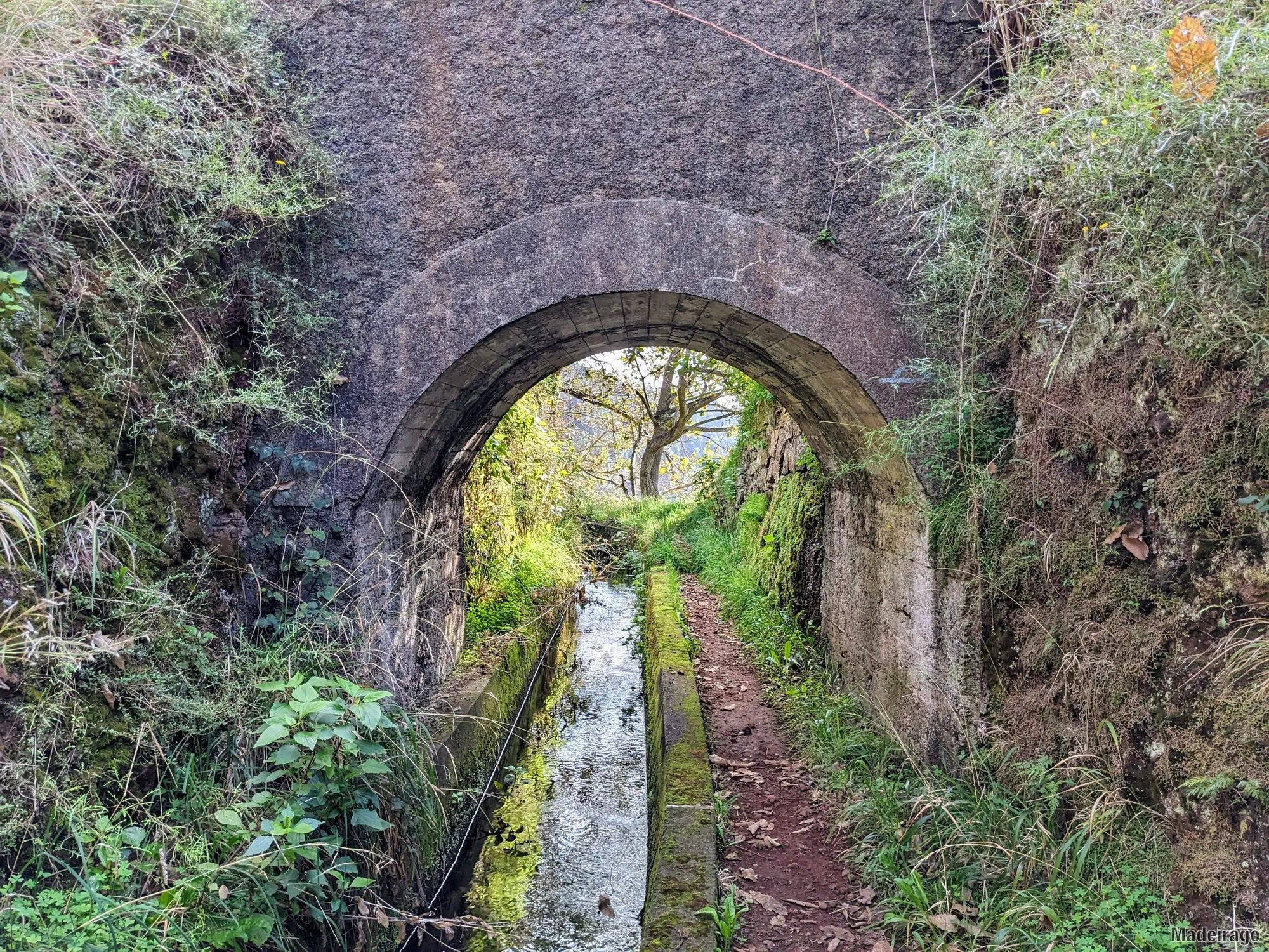 Levada dos Tornos - směr Santo da Serra