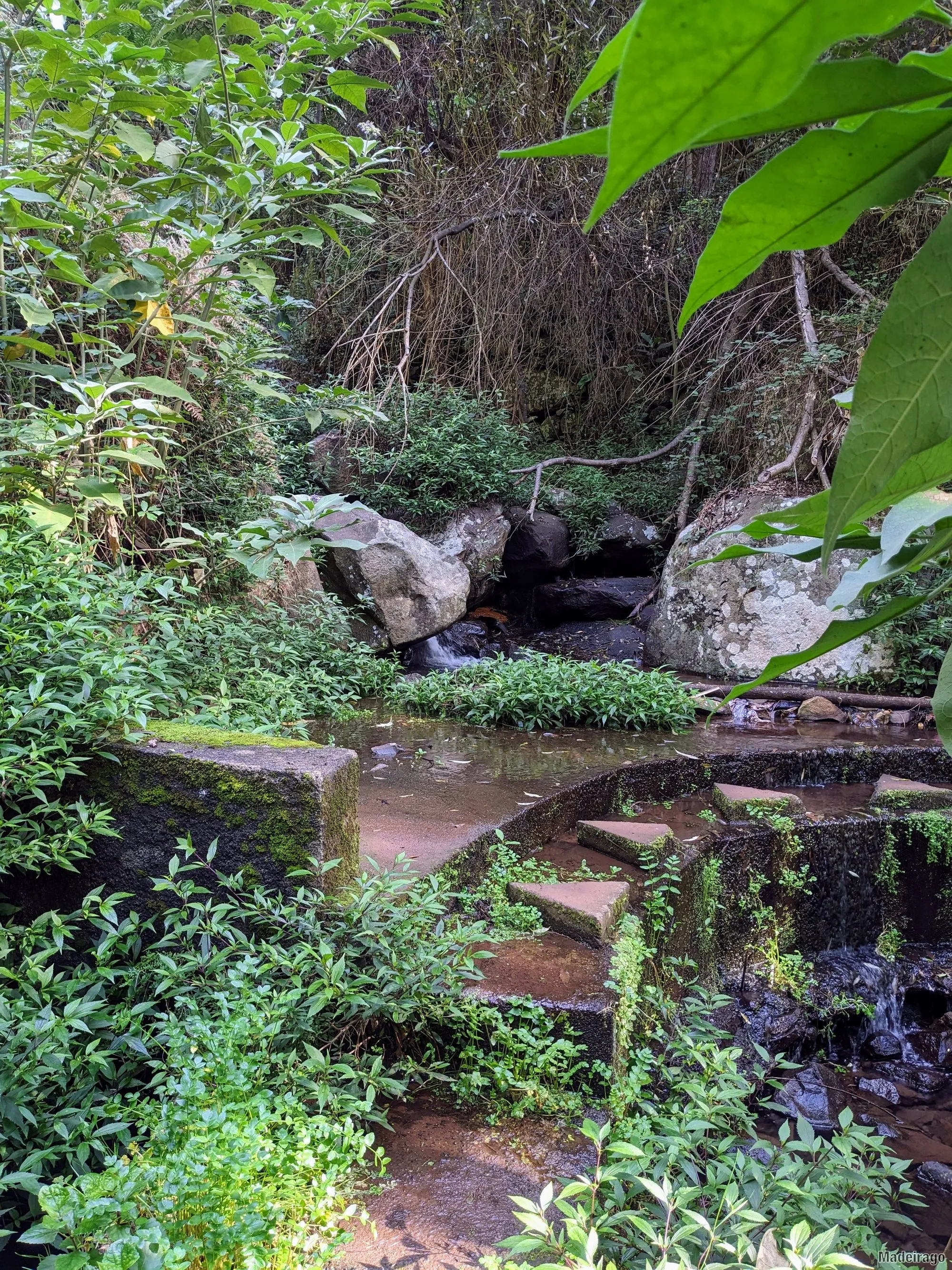 Levada dos Tornos - směr Santo da Serra