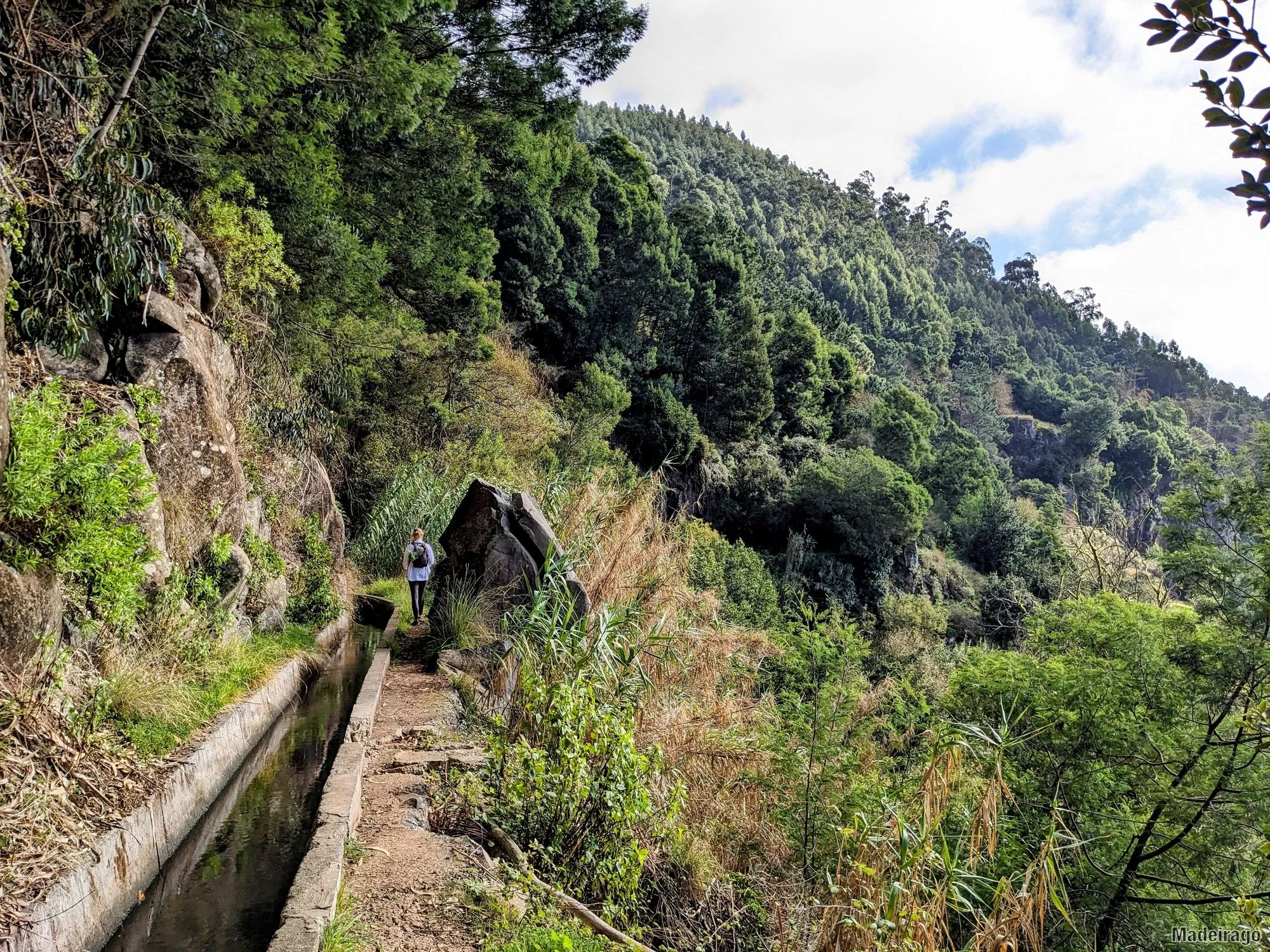 Levada dos Tornos - směr Santo da Serra