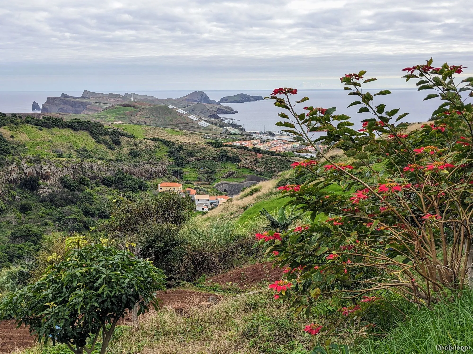 Levada do Caniçal