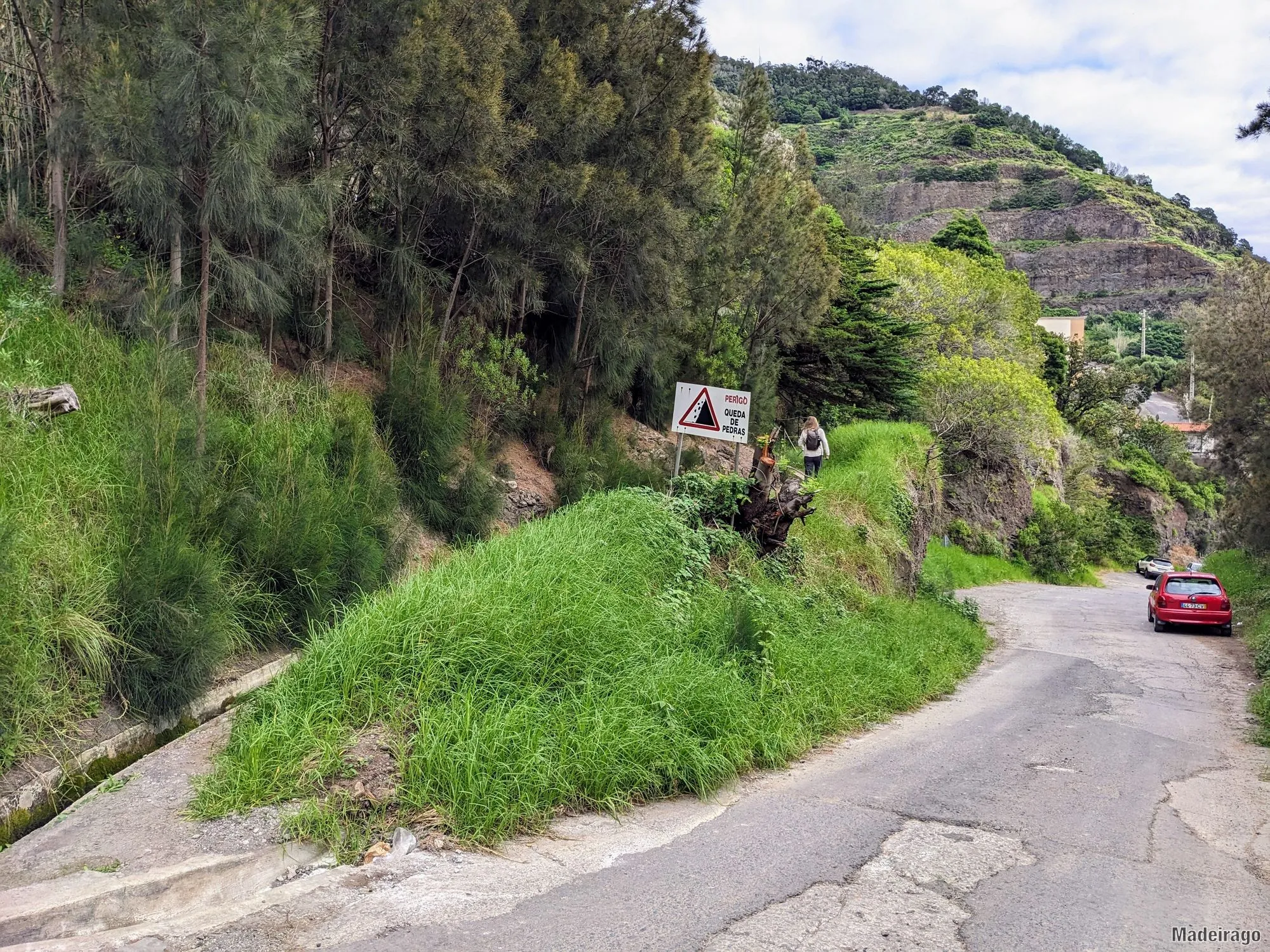 Levada do Caniçal