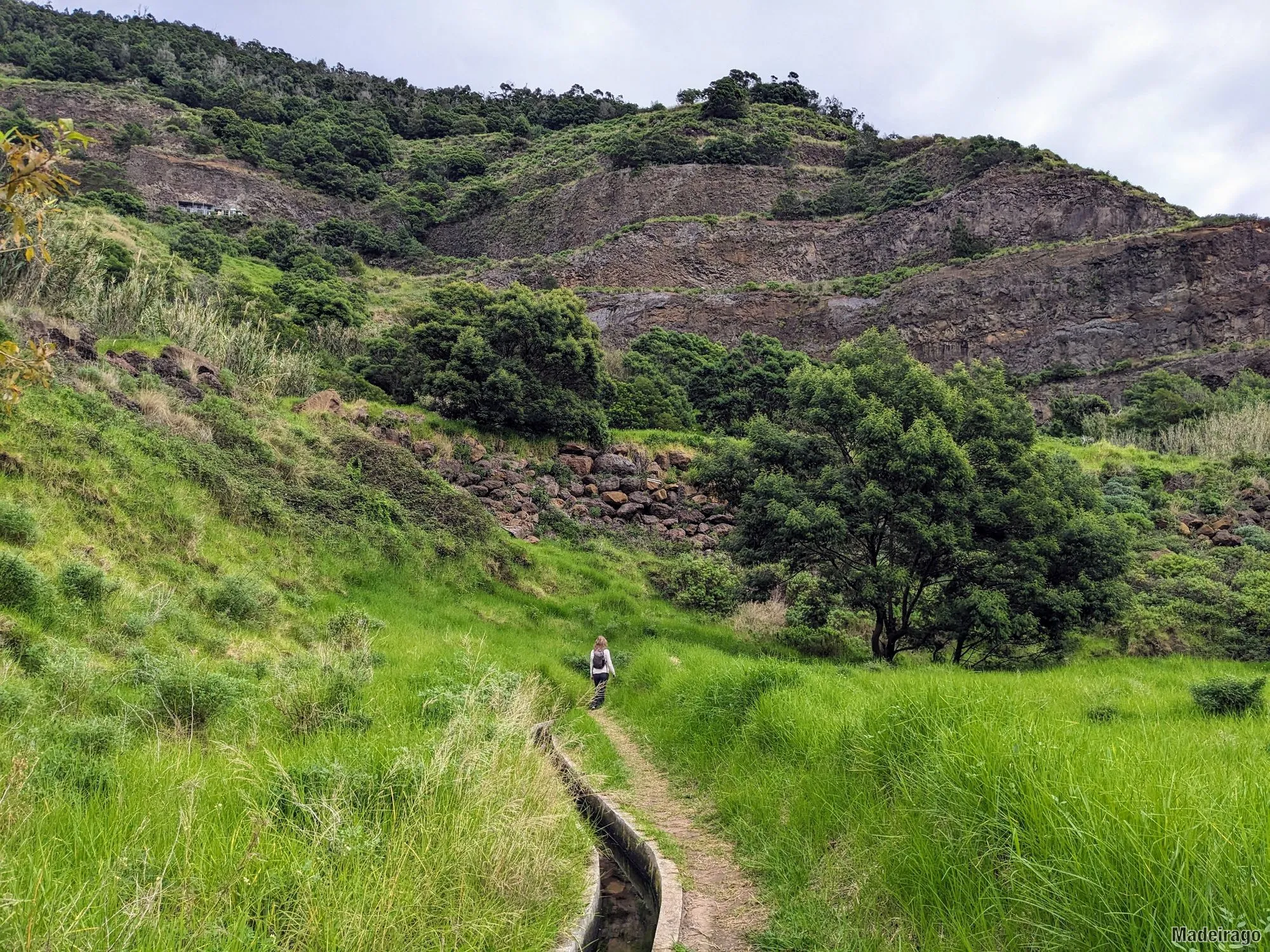 Levada do Caniçal