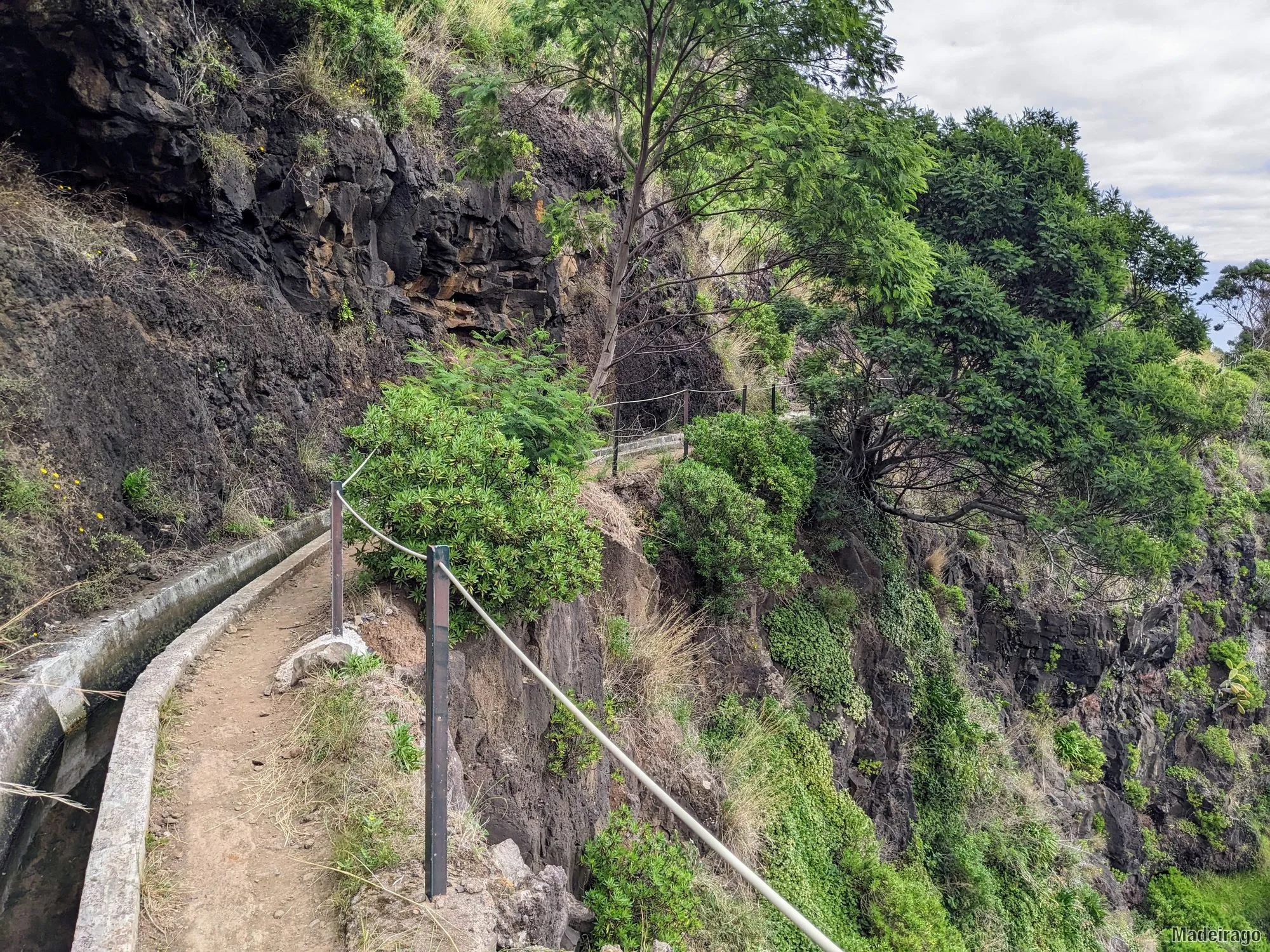 Levada do Caniçal