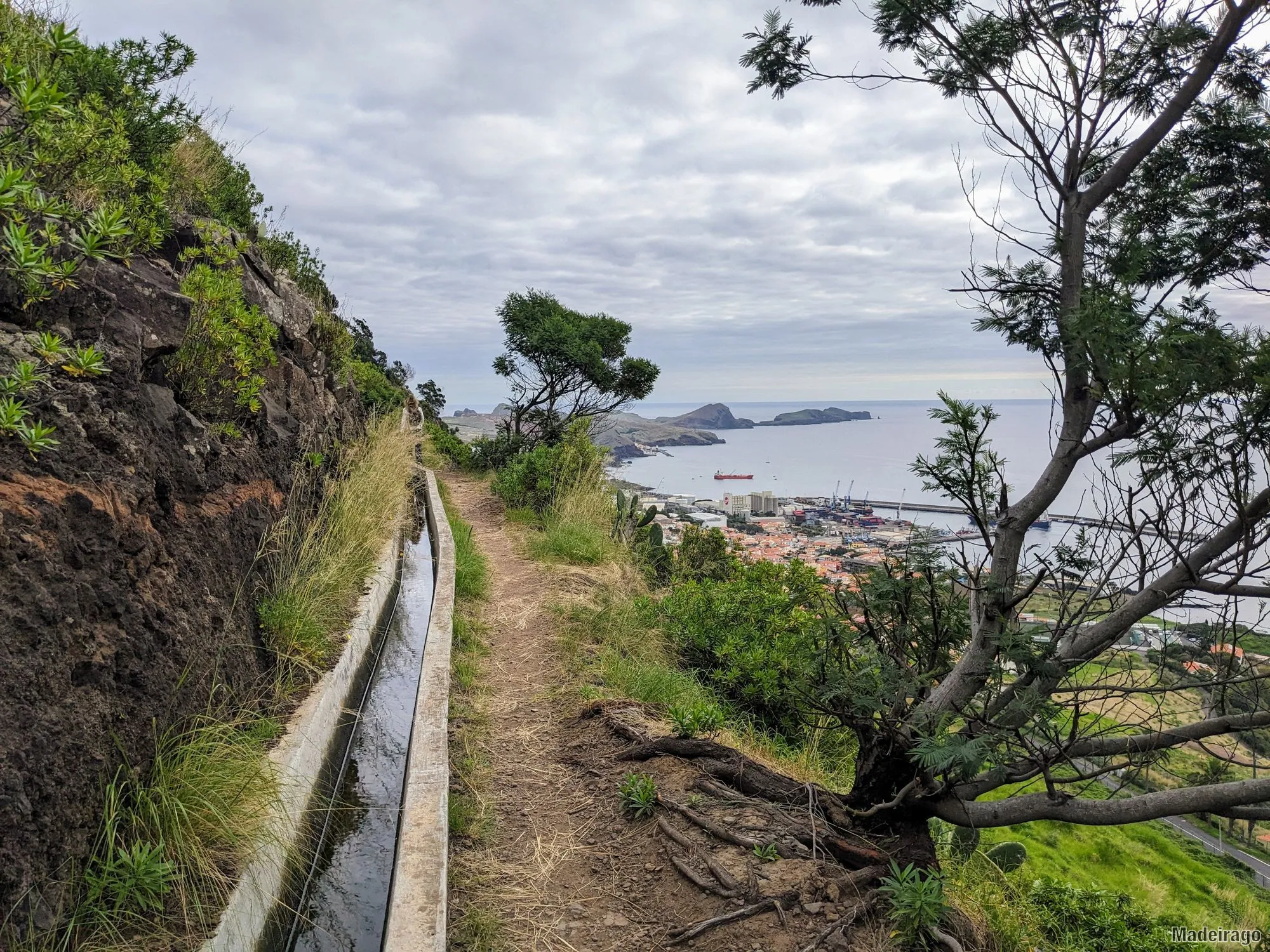 Levada do Caniçal