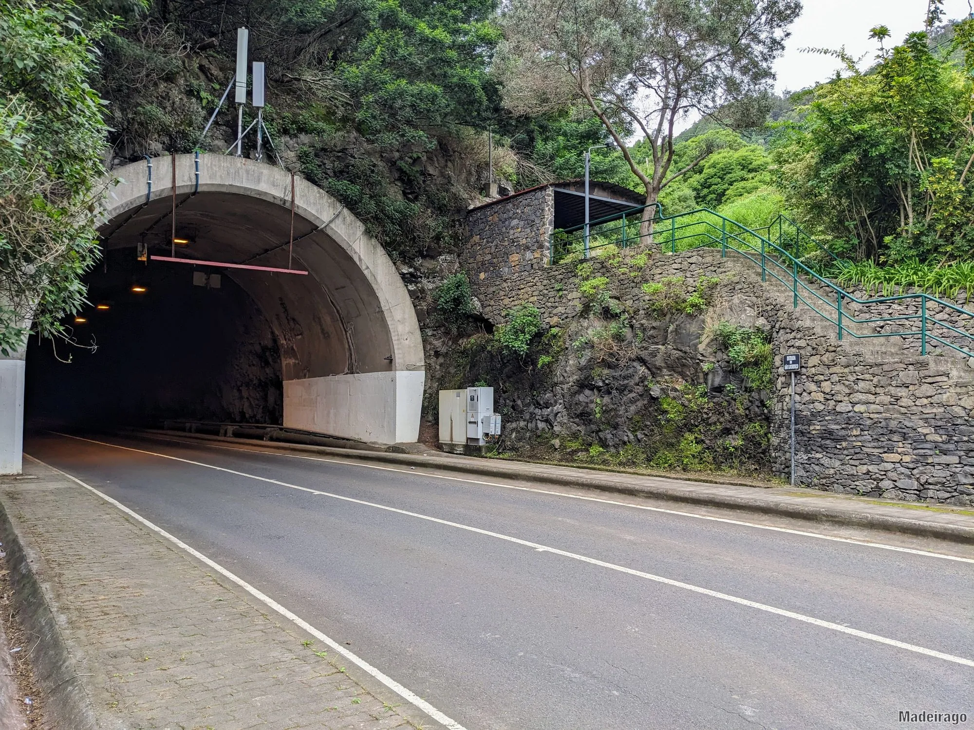 Levada do Caniçal