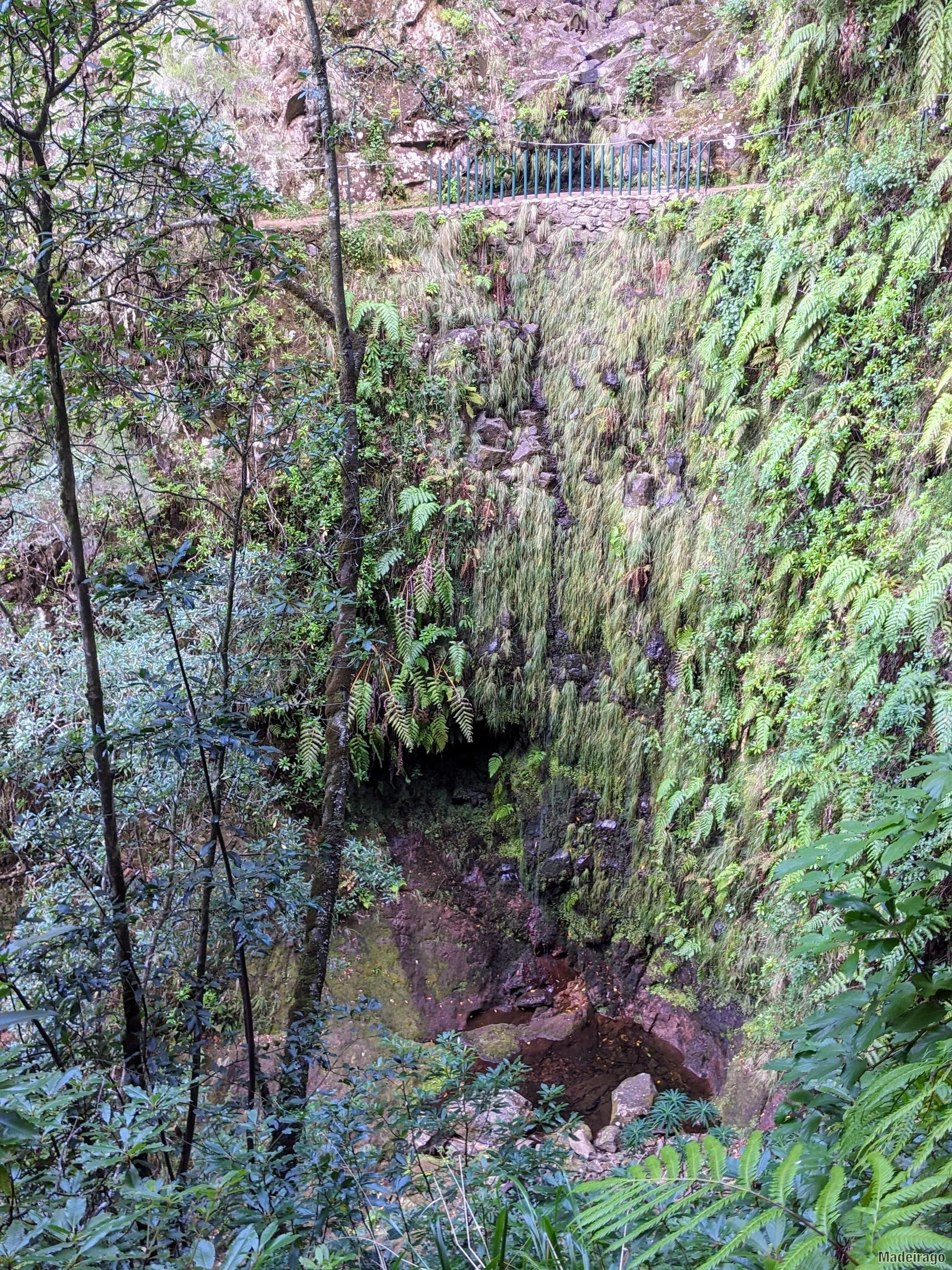 Levada dos Cedros