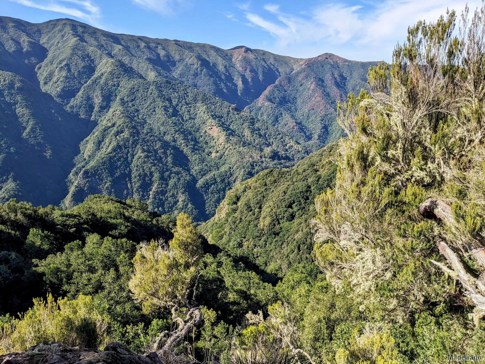 Levada dos Cedros