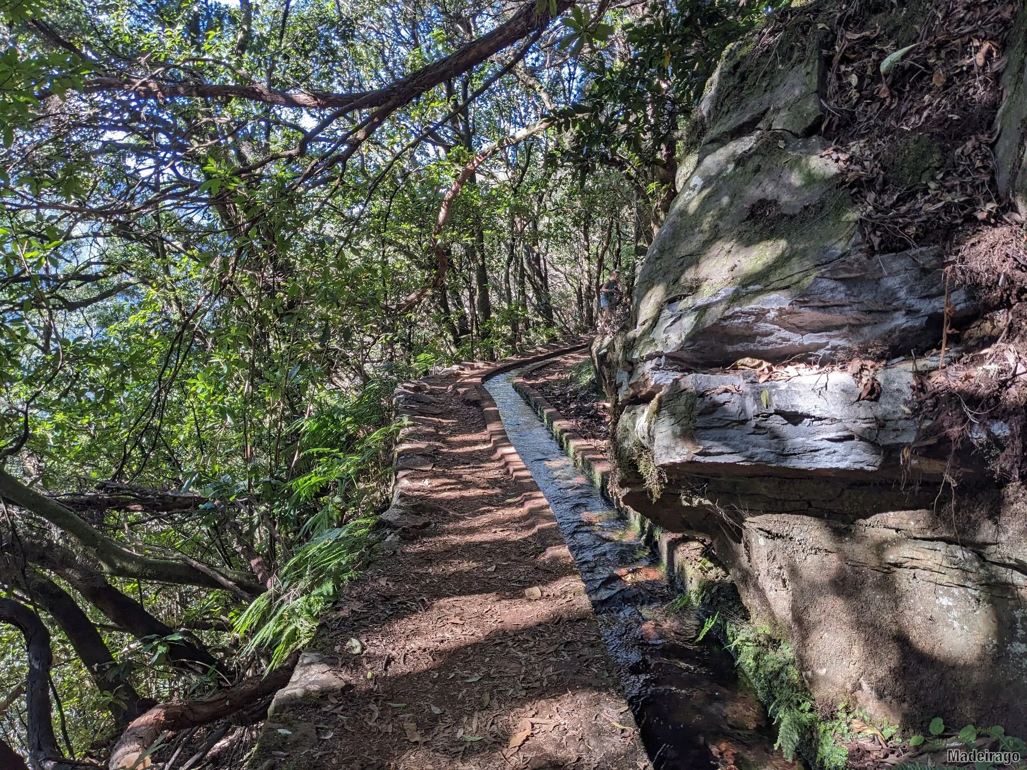 Levada dos Cedros