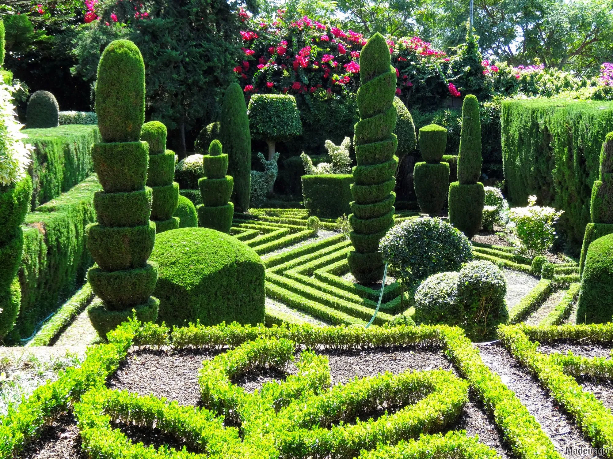 Levada Monte - Jardim Botanico