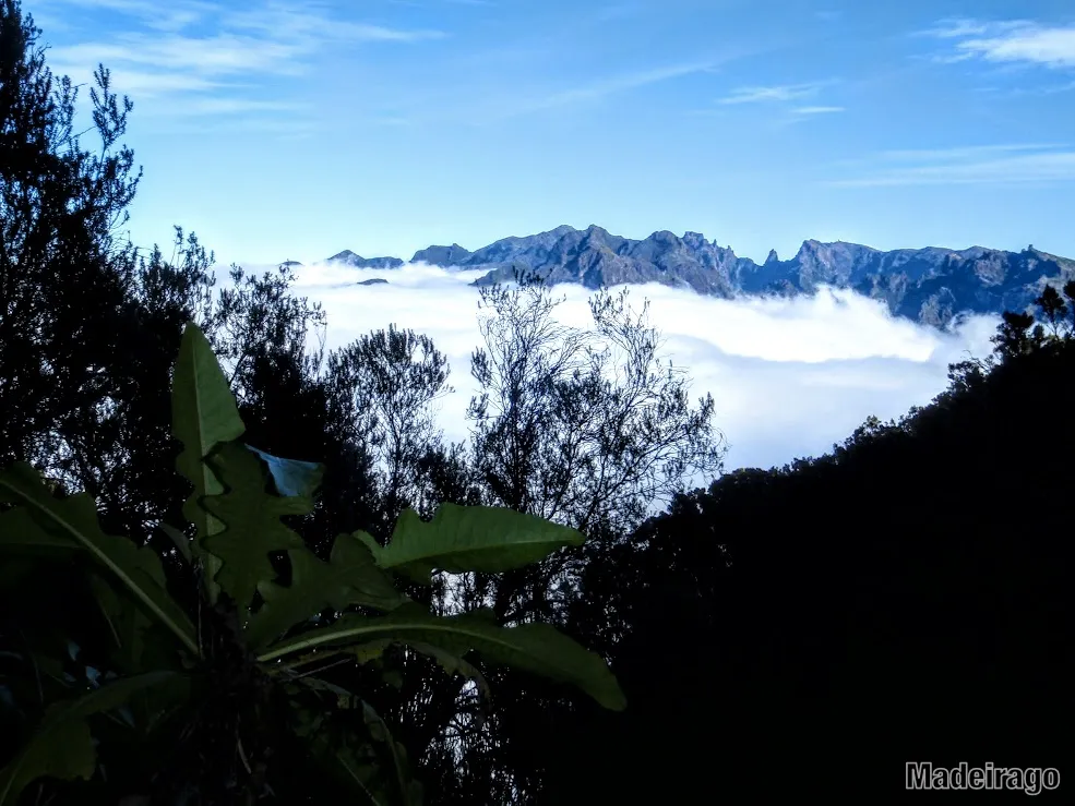 Levada Bica de Cana PR17