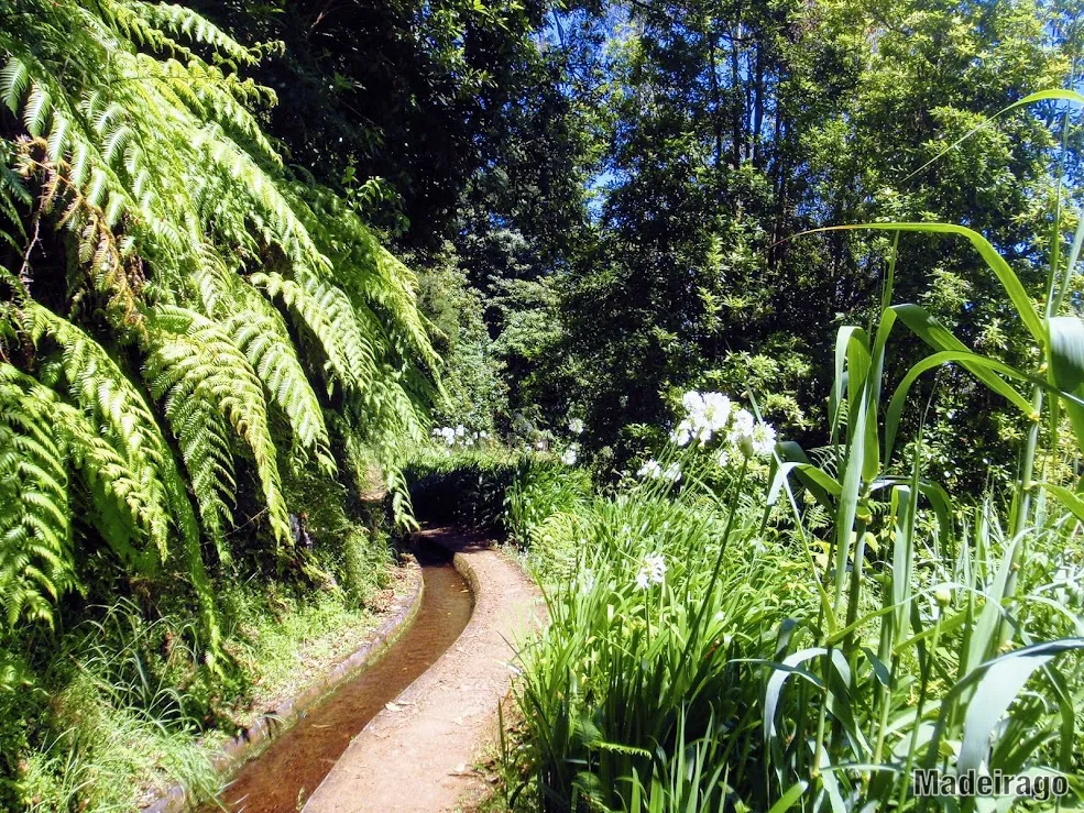 Levada do Rei