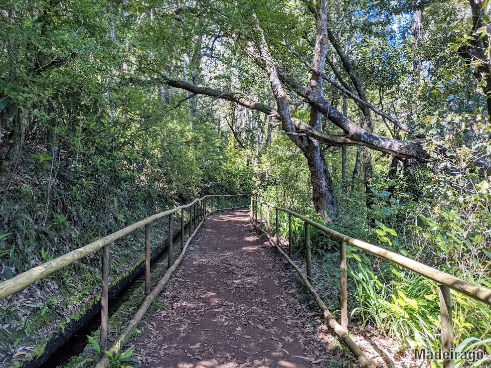 Po stezce Queimadas pro vozíčkáře - Pico das Pedras- park Queimadas