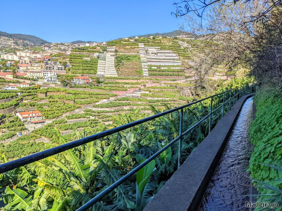 Levada dos Piornais - městská levada