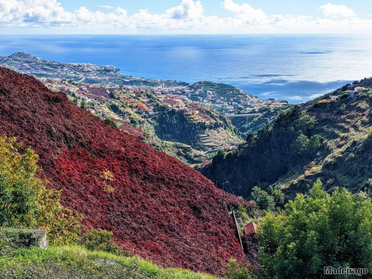 Levada do Norte