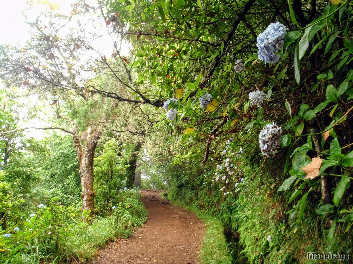 Nová pravidla pro stezky v rámci PR!