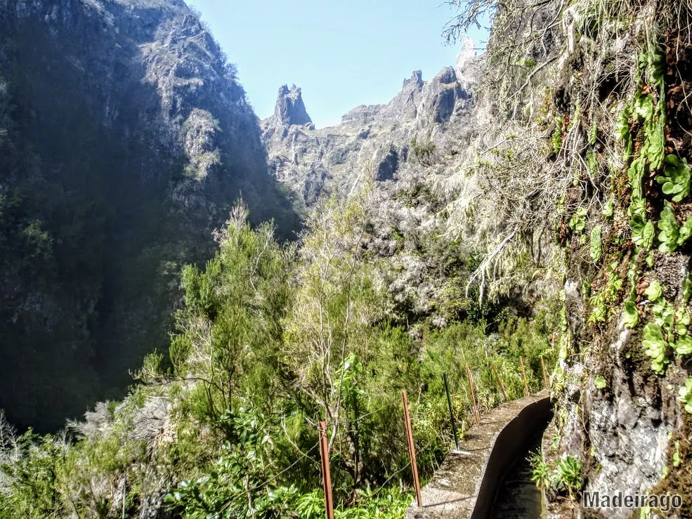 Levada do Furado ( Ribeiro Frio - Portela)