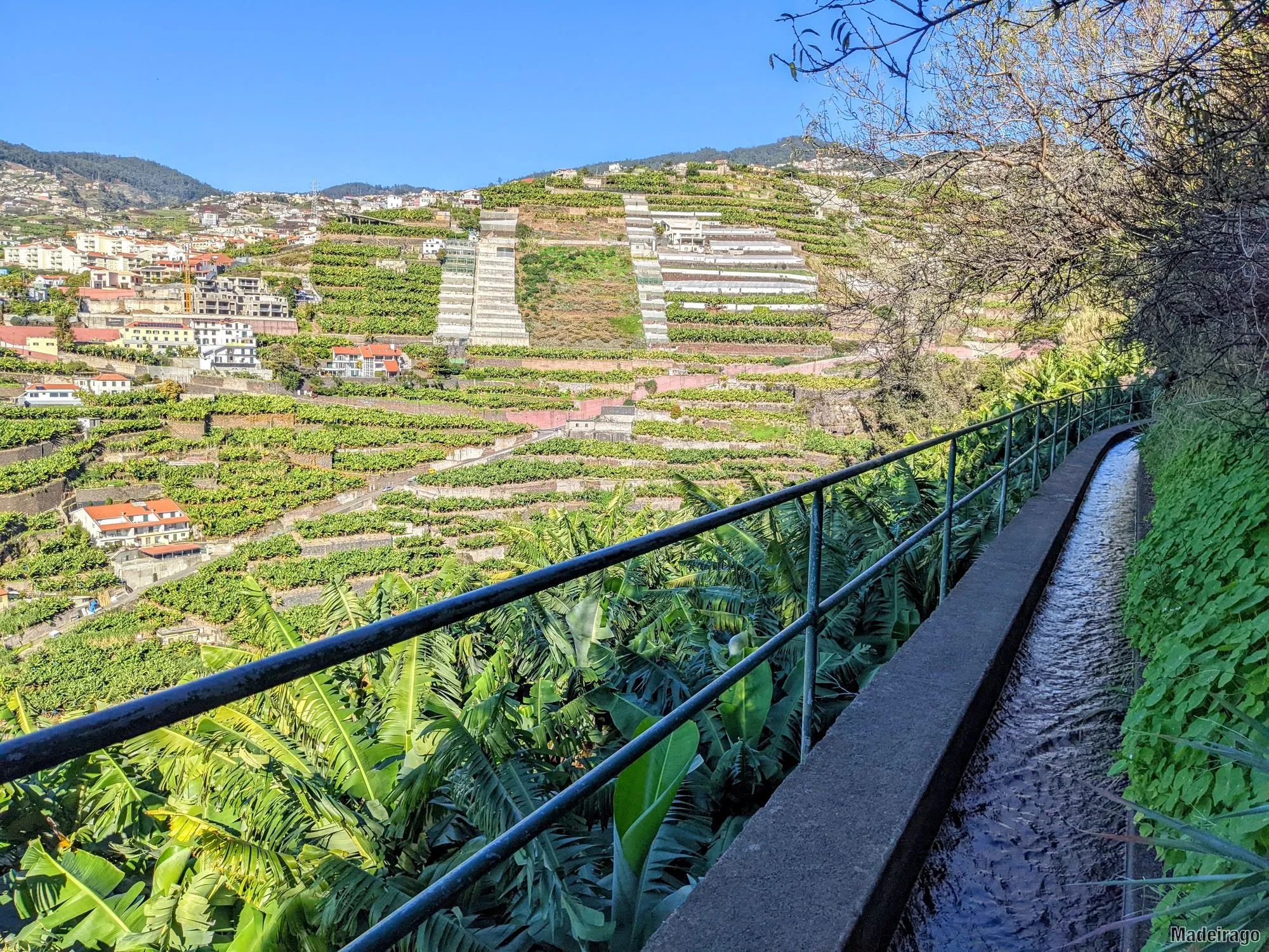 Levada dos Piornais - městská levada