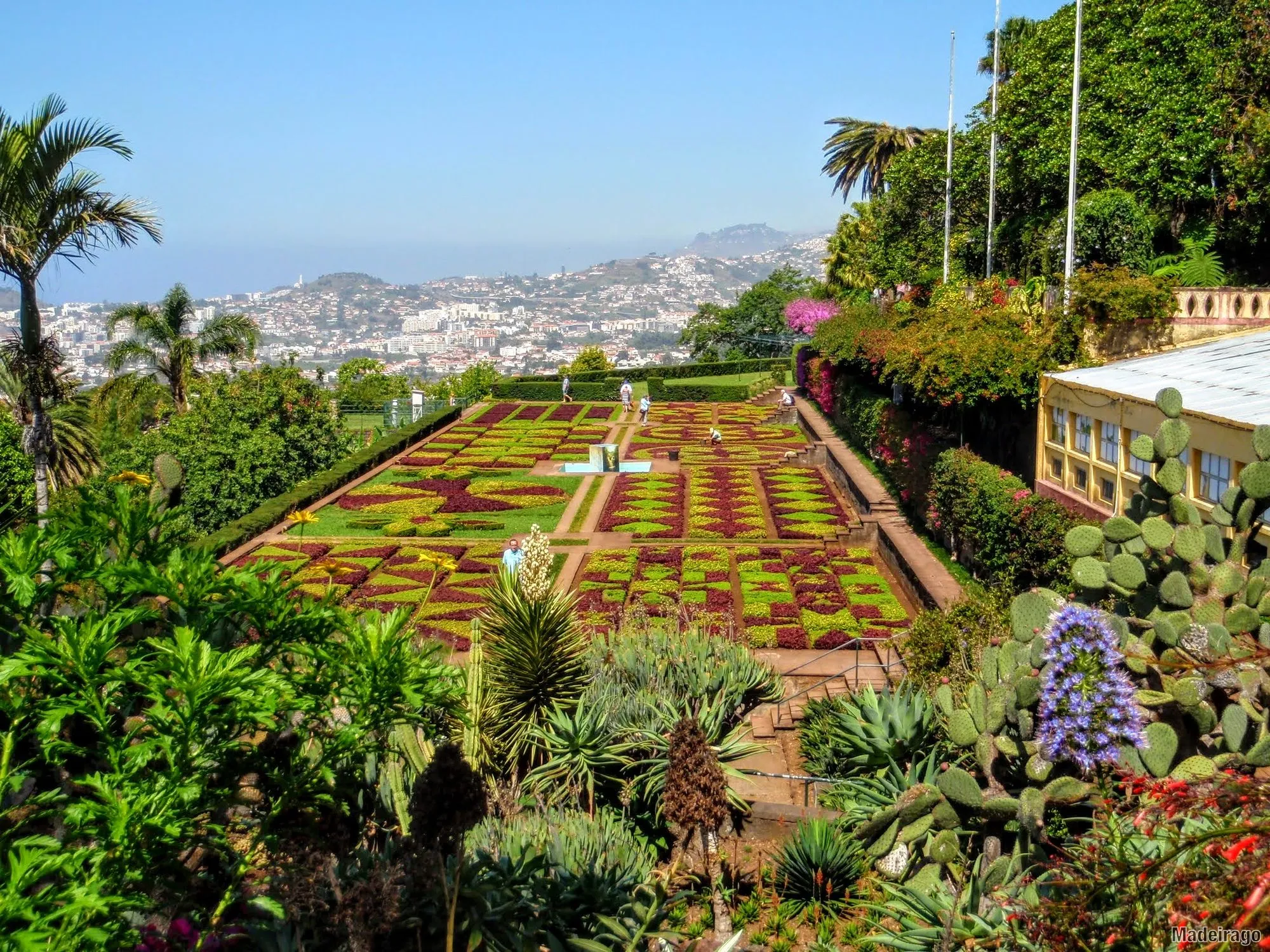 Monte - tropická a botanická zahrada