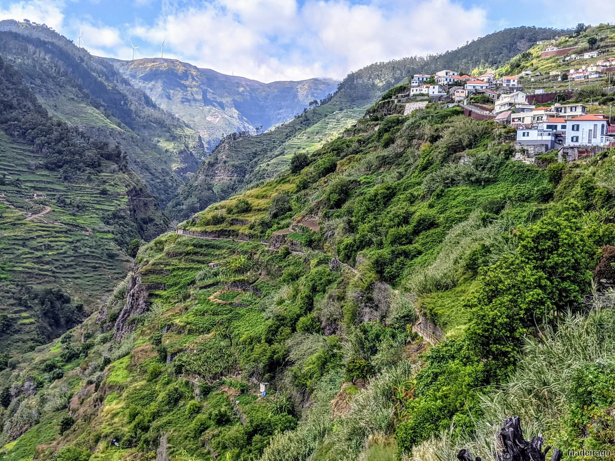 Levada Nova