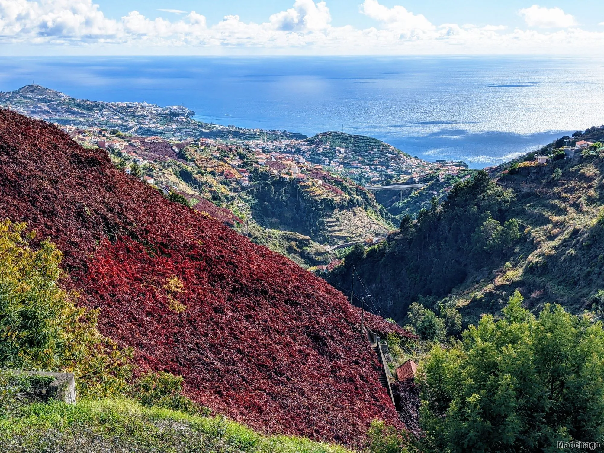 Levada do Norte