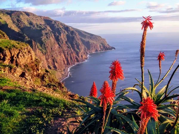 Ponta do Pargo
