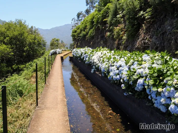 Levada Ribeira da Janela