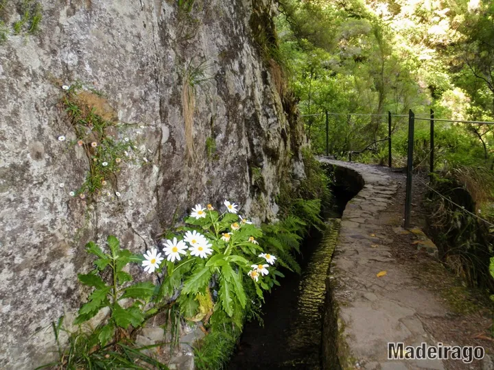 Levada do Caldeirão Verde