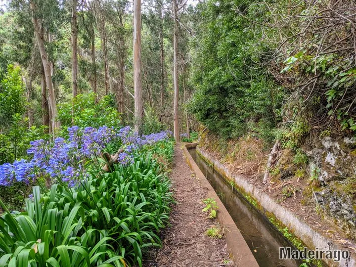 Levada dos Tornos (směr Monte)