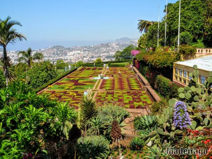 Monte - tropická a botanická zahrada
