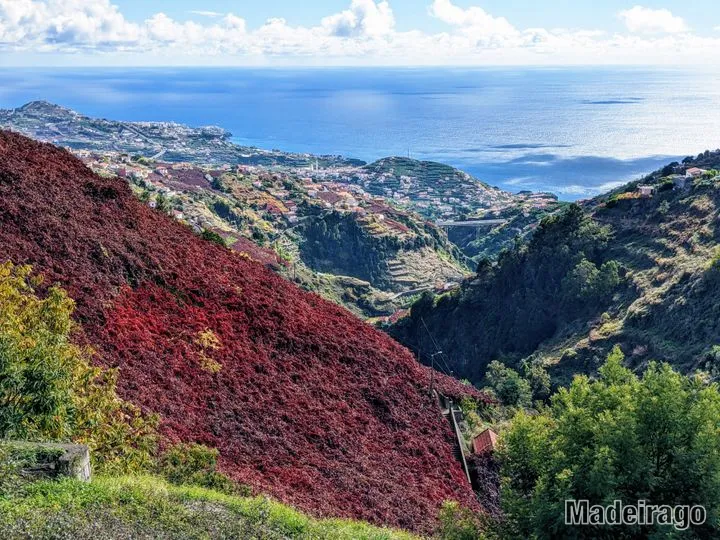 Levada do Norte