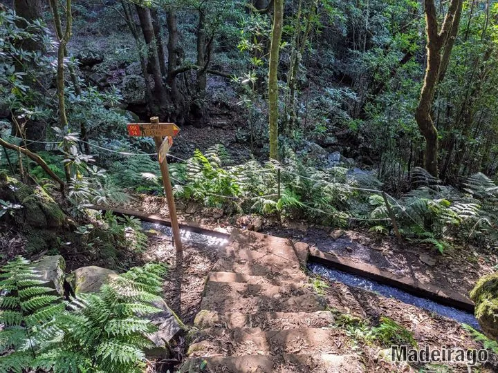 Levada dos Cedros