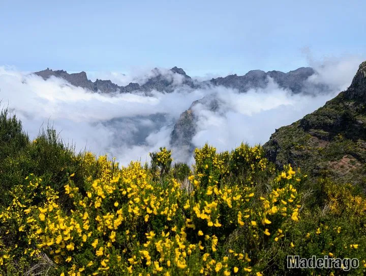Pico Areeiro-Cedro-Paredão